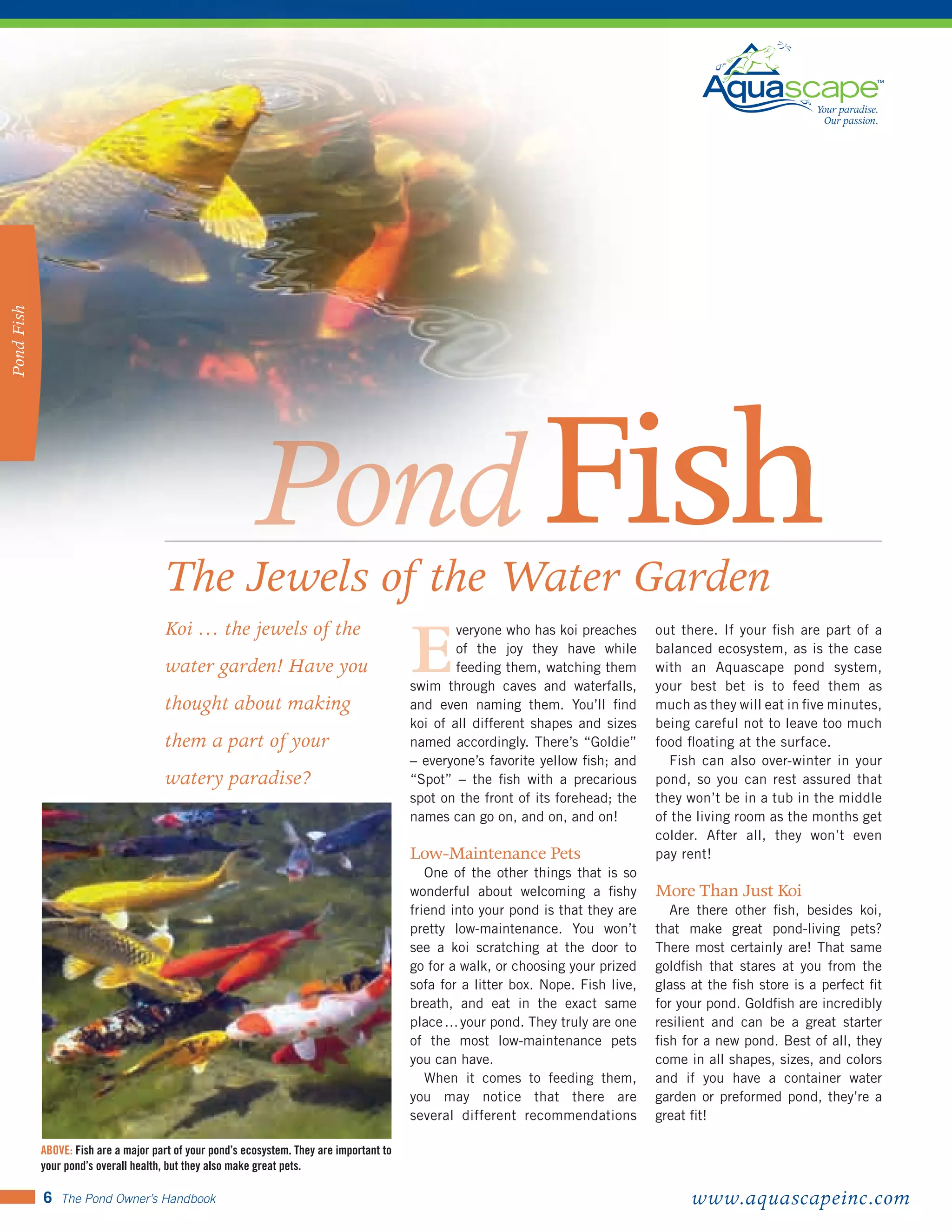Pond Owners Manual