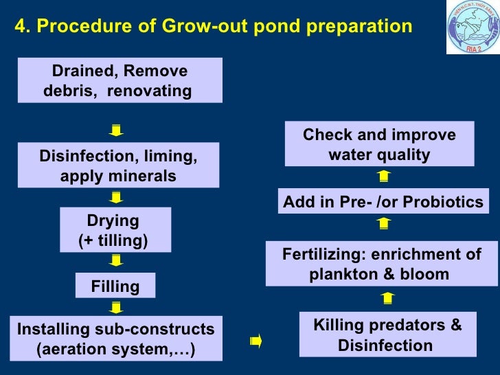 Pond Preparation 11 3 2009 Tuyen Nx