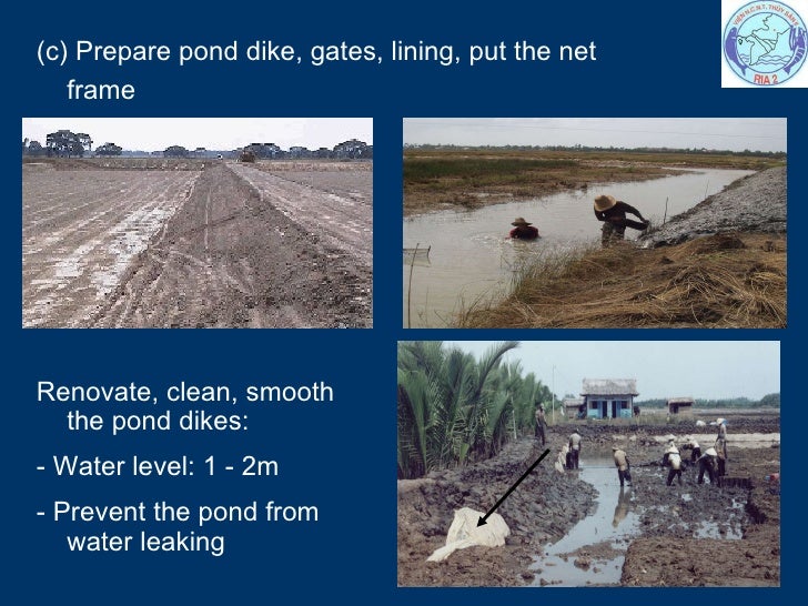 Pond Preparation 11 3 2009 Tuyen Nx
