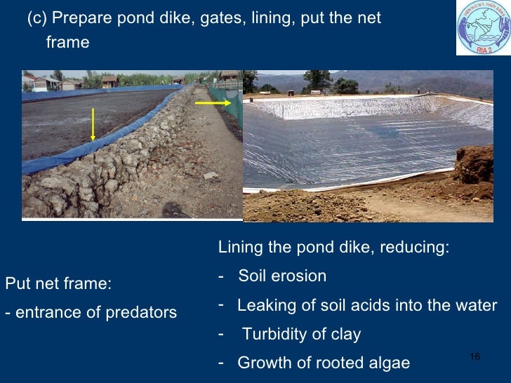 Pond Preparation 11 3 2009 Tuyen Nx