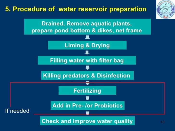 Pond Preparation 11 3 2009 Tuyen Nx