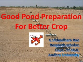 Good Pond Preparation
For Better Crop
 