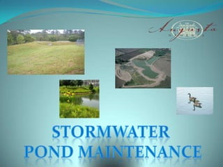 Stormwater  Pond Maintenance 