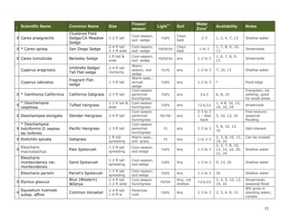 Common Name

Size

Flower/
season

X Carex praegracilis

Clustered Field
Sedge/CA Meadow
Sedge

1-2 ft tall

Cool-season,
sod sedge

FS/PS

X * Carex spissa

San Diego Sedge

2-4 ft tall
2-3 ft wide

Cool-season,
sod sedge

X Carex tumulicola

Berkeley Sedge

2 ft tall &
wide

Cool-season,
sod sedge

Cyperus eragrostis

Umbrella Sedge/
Tall Flat-sedge

2-4 ft tall
clumping

Cyperus odoratus

Fragrant Flatsedge

1-3 ft tall

California Oatgrass

2-3 ft tall

Tufted hairgrass

1-2 ft tall &
wide

X Deschampsia elongata

Slender Hairgrass

2-4 ft tall

* Deschampsia
X holciformis (D. cespitosa
ssp. hociformis)

Pacific Hairgrass

1-3 ft tall

X Distichlis spicata

Saltgrass

1 ft tall
spreading

Warmseason, sod
sedge
Warm-seas.,
annual
sedge
Cool-season
perennial
bunchgrass
Cool-season
bunchgrass
Cool-season
perennial
bunchgrass
Cool-season
perennial
bunchgrass
Warm-seas.,
sod grass

Eleocharis
macrostachya

Pale Spikerush

1-2 ft tall
spreading

Eleocharis
montevidensis var.
montevidensis

Sand Spikerush

Eleocharis parishii

Parish’s Spikerush

I

Scientific Name

X * Danthonia Californica
X

X

* Deschampsia
cespitosa

X Elymus glaucus
X

Equisetum hyemale
subsp. affine

Blue (Western)
Wildrye
Common Horsetail

Water
Zone+

Availability

Notes

Clays
best

2-3

1, 2, 4, 7, 13

Shallow water

FS/PS/FSH

Clays
best

1 to 3

1, 7, 8, 9, 10,
13

Streamside

FS/PS/FSH

any

1-2 to 3

1, 6, 7, 8, 9,
13

Streamside

FS.PS

any

1-2 to 3

7, 10, 13

Shallow water

FS/PS

any

1-2 to 3

?

Pond edge

FS/PS

any

2 to 3

6, 8, 10

Evergreen; tol.
walking; good
for small areas

FS/PS

any

1-2 to 2-3

1, 4-8, 10, 13,
14, 16, 18

streamside

PS/ FSH

any

2-3 to 3
1 – dies
back

5, 10, 13, 16

Fine-texture;
seasonal
flooding

FS

any

2-3 to 3

5, 8, 10, 13,
16

Salt-tolerant

FS

any

1 to 2-3

Cool-season,
sod sedge

FS/PS

Any

1-2 to 3

1-2 ft tall
spreading

Cool-season,
sod sedge

FS/PS

Any

1-2 ft tall
spreading
2-4 ft tall
1-2 ft wide

Cool-season,
sod sedge
Cool-season
bunchgrass

FS/PS

2-4 ft tall
1-6 ft w

Perennial
rush

Light++

Soil

2, 3, 8, 10, 13,
14, 16
2, 3, 7, 8, 10,
13, 14, 16, 20,
21, 24

Can be mowed

1-2 to 3

9, 13, 20

Shallow water

Any

1-2 to 3

20

Shallow water

PS/FSH

Any; not
shallow

1-2 to 2-3

3, 4, 5, 10, 13,
14, 16

FS/PS

Any

2-3 to 3

2, 3, 4, 8, 13

Streamside;
seasonal flood
Will grow in
standing water;
contain

Shallow water

11

 