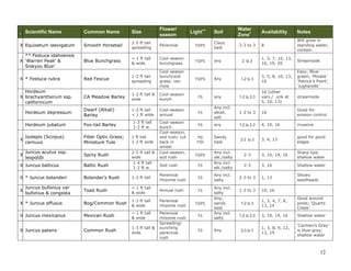 Common Name

Size

Flower/
season

X Equisetum laevigatum

Smooth Horsetail

2-5 ft tall
spreading

Perennial

FS/PS

Clays
best

** Festuca idahoensis
X ‘Warren Peak’ &
Siskyou Blue’

Blue Bunchgrass

< 1 ft tall
& wide

Cool-season
bunchgrass

FS/PS

any

X * Festuca rubra

Red Fescue

1-2 ft tall
spreading

Cool-season
bunch/sod
grass; can
mow

FS/PS

Hordeum
X brachyantherum ssp.
californicum

CA Meadow Barley

1-2 ft tall &
wide

Cool-season
bunch

Hordeum depressum

Dwarf (Alkali)
Barley

1-2 ft tall
< 1 ft wide

Cool-season
annual

Hordeum jubatum

Fox-tail Barley

1-3 ft tall
1-2 ft w.

X

Isolepis (Scirpus)
cernuus

Fiber Optic Grass;
Miniature Tule

X

Juncus acutus ssp.
leopoldii

Spiny Rush

Cool-season
bunch
Cool-season,
sod rush; cut
back in
winter
Cool-season,
sod rush

I

Scientific Name

X Juncus balticus

Baltic Rush

X * Juncus bolanderi

Bolander’s Rush

1 ft tall
1-2 ft wide
2-5 ft tall &
wide
1-4 ft tall
1-2 ft w.

Light++

Notes

8

Will grow in
standing water;
contain

2 to 3

1, 5, 7, 10, 13,
16, 19, 20

Streamside

Any

1-2 to 3

3, 5, 8, 10, 13,
16

Easy; Bluegreen; ‘Molate’
‘Patrick’s Point’,
‘Jughandle’

FS

any

1-2 to 2-3

16 (other
vars./ unk at
5, 10, 13)

streamside

FS

Any incl.
alkali,
salt

1-2 to 3

16

Good for
erosion control

FS

any

1-2 to 2-3

4, 10, 16

invasive

PS/
FSH

Sandy
best

2-3 to 3

3, 4, 13

good for pond
edges

2-3

3, 10, 14, 16

Sharp tips;
shallow water

2-3

3, 16

Shallow water

2-3 to 3

1, 13

Showy
seedheads

1-2 to 3

10, 16

Sod rush

FS

1-2 ft tall

Perennial
rhizome rush

FS

Toad Rush

< 1 ft tall
& wide

Annual rush

FS

X * Juncus effusus

Bog/Common Rush

1-3 ft tall
& wide

Perennial
rhizome rush

FS/PS

X Juncus mexicanus

Mexican Rush

< 1 ft tall
& wide

X Juncus patens

Common Rush

1-3 ft tall &
wide

Perennial
rhizome rush
Spreading/
bunching
perennial
rush

X

Juncus bufonius var
bufonius & congesta

Water
Zone+

Availability

FS/PS

FS

FS

Soil

Any incl.
alk./salty
Any incl.
alk./salty
Any incl.
salty
Any incl.
salty
Any;
sandy
best
Any incl.
salty
Any

2-3 to 3

1-2 to 3

1, 3, 4, 7, 8,
13, 14

Good around
pools; ‘Quartz
Creek’

1-2 to 2-3

3, 10, 14, 16

Shallow water

2-3 to 3

1, 3, 8, 9, 12,
13, 19

‘Carmen’s Gray’
is blue-gray;
shallow water

12

 