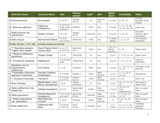 Common Name

Size

Flower/
season

X Pluchea sericea

Arrowweed

5-10 ft t

Purple/
Sp-Su

FS

X * Rhamnus californica

California
Coffeeberry

6-12 ft t &
wide; short
cultivars

Buff/Sp

Golden Currant

To 10 ft

Yellow/
W-Sp

Narrow-leaf Willow

6-15 ft
12-15 ft.w.

I

X

Scientific Name

Ribes aureum var.
gracillimum

X Salix exigua

Light++

Soil

Water
Zone+

Availability

Notes

Any incl
clay

1-2 to 2-3

8, 10, 14

Thicketforming; silver
foliage

FS/PS

Any

1-2 to 2-3

1, 5, 7, 9, 10,
13, 14, 16, 18

Upper bank

FS/PS/ FSH

Any

1-2 to 2-3

7, 12, 14

Yellow/Sp

FS/PS

any

1-2; winter
flooding

1, 2, 3, 14

6, 24

Upper bank

1, 7, 9, 13, 14

Upper bank

Any welldrained; Birds
eat berries
Tol flooding;
spreading

Smaller Shrubs ( < 6 ft. tall) ; includes woody sub-shrubs
X

** Baccharis pilularis
‘Pigeon Point Dwarf’

Dwarf Pigeon Point
Coyote Bush

6-12 ft T
to 10 ft W

Buff-Wht/
Su-F

FS/PS

any

1 to 1-2
Winter
flooding

X

* Berberis (Mahonia)
aquifolium

Oregon Grape

< 6 ft

Yellow/Sp

PS

any

2-3 to 3

Rabbitbush

2-5 ft tall &
wide

Yellow/Su-F

FS

any

1-2 to 2-3

7, 10, 13, 16

Good for
butterflies

CA Fuschia

1-3 ft

Orange/F

FS/PS

any

1-2 to 2-3

1, 3, 9, 12, 13,
14, 19

Tolerates winter
flooding

Firecracker Catalina
Snapdragon

2-4 ft tall

Red/Sp +

FS/PS

1 to 1-2

1, 3, 7, 8, 9,
13, 14

Streamside

X * Lonicera involucrata

Twinberry

4-6 ft tall
to 10 ft w

2-3 to 3

7, 18

Mulch soil

X Rhus trilobata

Basket Bush; Sour
Berry; Skunkbrush

2-6 ft

Yellow/
Sp-Su
Yellowgreen/Sp

Mid-bank to
upper bank

Hillside Gooseberry

To 3 ft

Red-white/
W-Sp

PS/FSH

Welldrained

1-2 to 2-3

Fuschia-flowered
Gooseberry
Red-flowering
Currant

3-6+ ft tall
and wide

dark pink/
W-Sp

FS/PS/FSH

Welldrained

2-3;
3 in sun

10, 13, 14, 16,
19
10, 12, 13
(var.
californicum)
1, 3, 10, 1214, 19

4-10 ft

Pink/Sp

PS/FSH

Welldrained

2-3

3, 5, 13, 14,
19

California Wild
Rose

3-4 ft tall
3-10 ft w

Pink/
Sp-Su

Mid- to upper
bank
Tolerates
seasonal
flooding

X * Ericameria nauseosa
Epilobium canum
X (Zauschneria
californica)
**Gambelia (Galvezia)
X
speciosa ‘Firecracker

X

Ribes californicum var.
hesperium

X Ribes speciosum
X

* Ribes sanguineum
var. glutinosum

X Rosa californica

FS/PS
PS

FS/PS/FSH

Welldrained
Welldrained
any

any

1-2 to 2

1-2;
3 (sun)

1, 2, 3, 7, 10,
12, 13, 14, 16

Mid- to upper
bank
Mid- to upper
bank

3

 