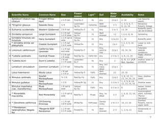 Scientific Name

Common Name

Size

Flower/
season

Epilobium ciliatum ssp.
ciliatum

Fringed Willow
Herb

2-5 ft tall

Pink/Su-F

X *Erigeron glaucus

Seaside Daisy

½ ft

Lavernder/
Sp-Fa

FS/PS/FSH

X Euthamia occidentalis

Western Goldenrod

3-6 ft tall

Yellow/Su-F

FS

Any

X Grindelia camporum

Large Gumplant

2-3 ft tall
3-5 ft wide
1-2 ft tall &
wide

Yellow/
Sp-Fa
Yellow/
Sp-Su

FS

Welldrained

FS

Any

1-2 to 2-3

Coastal Gumplant

1-3 ft tall
3-4 ft wide

Yellow/Su

FS

Any

2 to 3

X Limonium californicum

California SeaLavender

1-2 ft tall
and wide

Purple/Su-F

FS

Any;
sand to
clay

X *Lobelia cardinalis

Cardinal Flower

Red/Sp-Su

FS/PS/ FSH

any

2-3 to 3

X *Lobelia dunii

Dunn’s Lobellia

Lavender/
Su-F

PS

Any

3

FS

I

Grindelia hirsutula var.
hirsutula
* Grindelia stricta var
X
platyphylla
X

Hairy Gumplant

1-2
1 ft
1 ft
1-3

ft tall
wide
tall
ft wide

Light++
PS

Soil
any
Welldrained

Any, incl.
clays,
alkali
Welldrained

Water
Zone+
2-3 to 3
2-3
2 to 3

1-2

2-3 to 3

Availability
2, 10
1, 3, 5, 6, 7,
9, 13, 14
13, 16

Notes
Can become
weedy
Attractive
flowers, foliage
Butterfly plant;
can be invasive

1, 2, 6, 12, 16

Spreading

1, 10

Butterfly plant

1, 2, 3, 5, 10,
13

Lower to midbank
Tolerates
seaside
conditions
Toxic; shallow
water
shallow water or
pondside

10, 14, 16
3, 8, 13, 19

6, 8, 13 UCR
Bot. Garden

Lomatium utriculatum

Common Lomatum

2-3 ft tall

Yellow/Sp

Lotus heermannii

Wooly Lotus

1 ft tall
1-3 ft w

Yellow/Sp-F

FS/PS

To 3 ft

Red/Sp-Fa

FS/PS

any

2-3 to 3

3, 8, 10, 12,
13, 14, 16, 19

Easy; shallow
water

1-5 ft

Yellow/W-Sp

FS

Any

2-3 to 3

1, 3, 5, 8, 10,
12, 13, 14, 16

Shallow water

1 ft tall &
wide

Yellow/
Sp-Su

FS/PS

any

2-3 to 3

8

Red Monardella

1-2 ft tall &
wide

Red/Su-F

PS best

Any; no
alkali

2-3

CA Evening
Primrose

< 1 ft tall
3-8 ft wide

White/Sp

FS/PS (best)

Sandy/
rocky

2 to 2-3

10, 13, 16

‘Margarita BOP’
Penstemon

1-2 ft tall
2-3 ft wide

Purple/Su

FS

Welldrained

2-3

1, 3, 6, 13

X Mimulus cardinalis
X Mimulus guttatus
Mimulus moschatus
(var. moniliformis)
X

* Monardella
macrantha

X * Oenothera californica
**Penstemon
heterophyllus ‘Margarita
Bop’

Scarlet
Monkeyflower
Seep
Monkeyflower
Musk
Monkeyflower

2-3 to 3
2-3

?
10, 16

1, 6, 8, 13, 14,
19

leaves: boiled
as greens
Hummingbird
plant; scented;
‘Marion
Sampson’
Scented
flowers; mid to
upper bank
Streamside or
bank

7

 