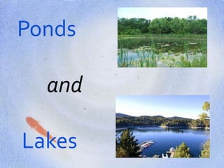 Ponds
and
Lakes
 