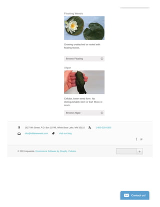 Floating Weeds
Growing unattached or rooted with
floating leaves.
Browse Floating
Algae
Cellular, lower weed form. No
distinguishable stem or leaf. Moss or
scum.
Browse Algae
1627 9th Street, P.O. Box 10748, White Bear Lake, MN 551101627 9th Street, P.O. Box 10748, White Bear Lake, MN 55110 1-800-328-93501-800-328-9350
info@killlakeweeds.cominfo@killlakeweeds.com Visit our blogVisit our blog
© 2019 Aquacide.© 2019 Aquacide. Ecommerce Software by ShopifyEcommerce Software by Shopify.. Policies.Policies.
Contact us!
 