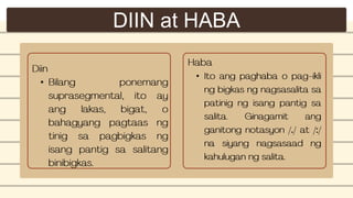 DIIN at HABA
•
•
 