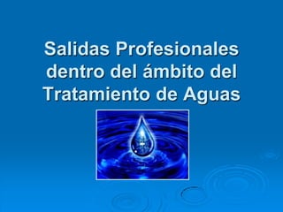 Salidas Profesionales dentro del ámbito del Tratamiento de Aguas 
