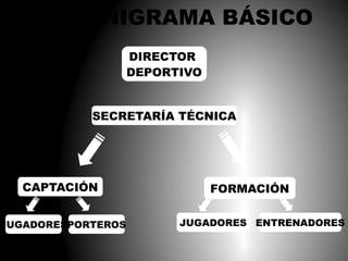 ORGANIGRAMA BÁSICO
DIRECTOR
DEPORTIVO
SECRETARÍA TÉCNICA

CAPTACIÓN

JUGADORESPORTEROS

FORMACIÓN
JUGADORES ENTRENADORES

 