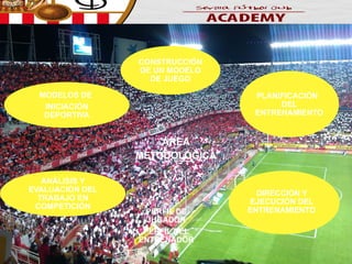 CONSTRUCCIÓN
DE UN MODELO
DE JUEGO
MODELOS DE
INICIACIÓN
DEPORTIVA

PLANIFICACIÓN
DEL
ENTRENAMIENTO

ÁREA
METODOLÓGICA
ANÁLISIS Y
EVALUACIÓN DEL
TRABAJO EN
COMPETICIÓN

PERFIL DE
JUGADOR
PERFIL DEL
ENTRENADOR

DIRECCIÓN Y
EJECUCIÓN DEL
ENTRENAMIENTO

 