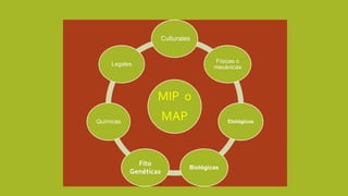 MIP o
MAP
Culturales
Físicas o
mecánicas
Etológicos
Biológicas
Fito
Genéticas
Químicas
Legales
 
