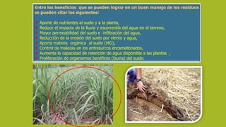 Entre los beneficios que se pueden lograr en un buen manejo de los residuos
se pueden citar los siguientes:
 Aporte de nutrientes al suelo y a la planta,
 Reduce el impacto de la lluvia y escorrentía del agua en el terreno,
 Mayor permeabilidad del suelo e infiltración del agua,
 Reducción de la erosión del suelo por viento y agua,
 Aporta materia orgánica al suelo (MO),
 Control de malezas en los entresurcos encamellonados,
 Aumenta la capacidad de retención de agua disponible a las plantas ,
 Proliferación de organismos benéficos (fauna) del suelo.
 