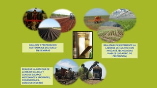 ANALISIS Y PREPARACION
SUSTENTABLE DEL SUELO
EN SIEMBRAS
REALIZAR EFICIENTEMENTE LA
LABORES DE CULTIVO CON
AYUDA DETECNOLOGIAS
VIABLES (SIG-AGRIC. DE
PRECISICION)
REALIZAR LA COSECHA DE
LA MEJOR CALIDADY
CON LOS EQUIPOS
NECESARIOSY EFICIENTES,
CON ENFOQUE A
COSECHA ENVERDE
 