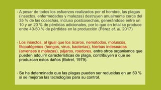 • A pesar de todos los esfuerzos realizados por el hombre, las plagas
(insectos, enfermedades y malezas) destruyen anualmente cerca del
35 % de las cosechas, incluso postcosechas, generándose entre un
10 y un 20 % de pérdidas adicionales, por lo que en total se produce
entre 40-50 % de pérdidas en la producción (Pérez et, al. 2017)
• Los insectos, al igual que los ácaros, nematodos, moluscos,
fitopatógenos (hongos, virus, bacterias), hierbas indeseadas
(arvenses o malezas), pájaros, roedores, entre otros organismos que
pueden adquirir características de plaga, contribuyen a que se
produzcan estos daños (Botrel, 1979).
• Se ha determinado que las plagas pueden ser reducidas en un 50 %
si se mejoran las tecnologías para su control.
 