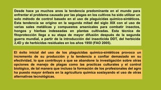 Desde hace ya muchos anos la tendencia predominante en el mundo para
enfrentar el problema causado por las plagas en los cultivos ha sido utilizar un
solo método de control basado en el uso de plaguicidas quimico-sintéticos.
Esta tendencia se origino en la segunda mitad del siglo XIX con el uso de
varias sales metálicas y compuestos arsenicales para combatir insectos,
hongos y hierbas indeseadas en plantas cultivadas. Esta técnica de
fitoprotección llega a su etapa de mayor difusión después de la segunda
guerra mundial, a partir de la introducción del insecticida DDT, del herbicida
2,4D y de herbicidas residuales en los años 1950 (FAO 2005).
El éxito inicial del uso de los plaguicidas químico-sintéticos provoco un
incremento de su producción y la tendencia a confiar demasiado en su
efectividad, lo que contribuyo a que se abandone la investigación sobre otras
opciones de manejo de plagas como las practicas culturales y el control
biológico, de tal manera que incluso la formación de los profesionales del agro
ha puesto mayor énfasis en la agricultura química soslayando el uso de otras
alternativas tecnológicas.
 
