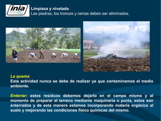 Limpieza y nivelado
Las piedras, los troncos y ramas deben ser eliminados.
La quema:
Esta actividad nunca se debe de realizar ya que contaminamos el medio
ambiente.
Enterrar: estos residuos debemos dejarlo en el campo mismo y al
momento de preparar el terreno mediante maquinaria o yunta, estos son
enterrados y de esta manera estamos incorporando materia orgánica al
suelo y mejorando las condiciones físico químicas del mismo.
 