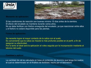 Momento de aplicación:
Si las condiciones de reacción son buenas mínimo 15 días antes de la siembra.
El efecto del encalado se mantiene durante varios años.
No se debe fertilizar con fósforo enseguida del encalado, ya que reaccionan entre ellos
y el fósforo no estará disponible para las plantas.
Forma de aplicación:
Se necesita lograr el mayor contacto de la caliza con el suelo
Es conveniente que la caliza se mezcle lo más profundo posible en el perfil, a fin de
asegurar su efectividad.
Por lo tanto el ideal será la aplicación al voleo seguida por la incorporación mediante el
laboreo del suelo
Cantidad a aplicar:
La cantidad de cal es calculada en base al contenido de aluminio que tenga los suelos;
el cual es determinado en el Análisis de fertilidad, hecho por el laboratorio.
 