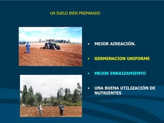 • MEJOR AIREACIÓN.
• GERMINACION UNIFORME
• MEJOR ENRAIZAMIENTO
• UNA BUENA UTILIZACIÓN DE
NUTRIENTES
UN SUELO BIEN PREPARADO
 