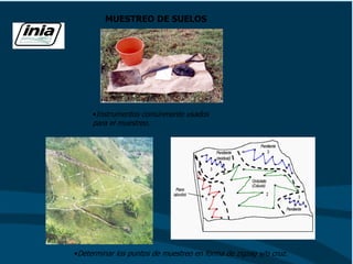 MUESTREO DE SUELOS
•Instrumentos comúnmente usados
para el muestreo.
•Determinar los puntos de muestreo en forma de zigzag y/o cruz.
 