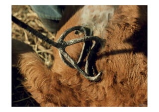 Ponencia Andres Perez