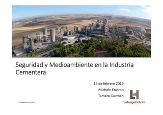© LafargeHolcim Ltd 2015
Seguridad y Medioambiente en la Industria
Cementera
15 de febrero 2019
Michele Erasmo
Tamara Guzmán
 