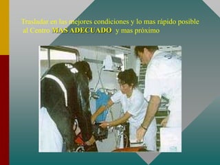Trasladar en las mejores condiciones y lo mas rápido posible
al Centro MAS ADECUADO y mas próximo
 