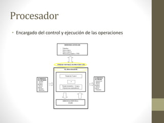 Procesador
• Encargado del control y ejecución de las operaciones
 