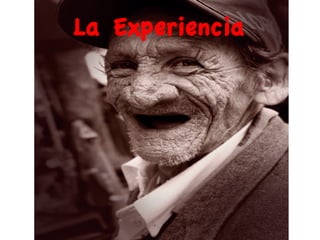 La Experiencia
 
