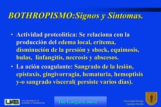 The Gorgas Course
THE UNIVERSITY OF
ALABAMA AT BIRMINGHAM
Universidad Peruana
Cayetano Heredia
BOTHROPISMO:Signos y Sintom...