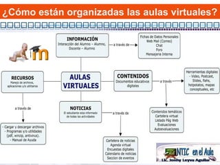 ¿Cómo están organizadas las aulas virtuales? 