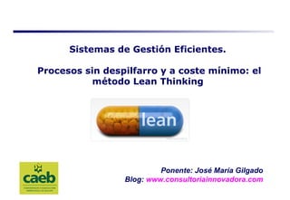 Ponente: José María Gilgado Blog:   www.consultoriainnovadora.com Sistemas de Gestión Eficientes.  Procesos sin despilfarro y a coste mínimo: el método Lean Thinking   