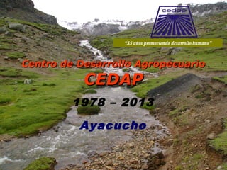 1978 – 2013
Ayacucho
Centro de Desarrollo AgropecuarioCentro de Desarrollo Agropecuario
CEDAPCEDAP
“35 años promoviendo desarrollo humano”
 