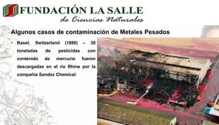 Algunos casos de contaminación de Metales Pesados
• Coto de Donana (1998) – un
millón de m3 de lodos que
contenían sulfuro...