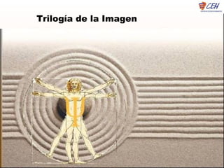 Trilogía de la Imagen
 