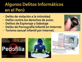  Delito de violación a la intimidad.
 Delito contra los derechos de autor.
 Delitos de Espionaje y Sabotaje
 Delito de Pornografía Infantil en Internet.
 Turismo sexual infantil por Internet.
 