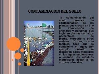 CONTAMINACION DEL SUELO
              la contaminación del
             suelo      provoca       la
             contaminación de las
             plantas que crecen en él o
             la     intoxicación     de
             animales y personas que
             ingieren plantas con altos
             porcentajes             de
             plomo, mercurio u otros
             metales tóxicos, como
             también hace que se
             contamine el agua; por
             ejemplo,     cuando     se
             disuelven sales minerales
             en las aguas subterráneas
             o cuando los residuos
             industriales llegan a los
             arroyos o los ríos.
 