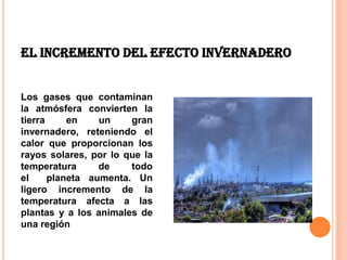 El incremento del efecto invernadero


Los gases que contaminan
la atmósfera convierten la
tierra     en    un    gran
invernadero, reteniendo el
calor que proporcionan los
rayos solares, por lo que la
temperatura      de    todo
el     planeta aumenta. Un
ligero incremento de la
temperatura afecta a las
plantas y a los animales de
una región
 
