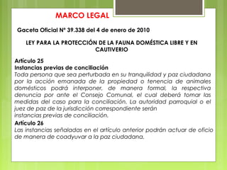 MARCO LEGAL
Gaceta Oficial Nº 39.338 del 4 de enero de 2010
LEY PARA LA PROTECCIÓN DE LA FAUNA DOMÉSTICA LIBRE Y EN
CAUTIVERIO
Artículo 25
Instancias previas de conciliación
Toda persona que sea perturbada en su tranquilidad y paz ciudadana
por la acción emanada de la propiedad o tenencia de animales
domésticos podrá interponer, de manera formal, la respectiva
denuncia por ante el Consejo Comunal, el cual deberá tomar las
medidas del caso para la conciliación. La autoridad parroquial o el
juez de paz de la jurisdicción correspondiente serán
instancias previas de conciliación.
Artículo 26
Las instancias señaladas en el artículo anterior podrán actuar de oficio
de manera de coadyuvar a la paz ciudadana.
 