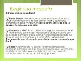 Elegir una mascota
¡Primero debes considerar!
¿Tienes tiempo? Las mascotas no se pueden cuidar solas.
Necesitan alimentarse, recibir cariño, jugar y ejercitarse
diariamente para vivir bien. Procura estar seguro de que le
darás el tiempo que necesita.
¿Dónde va a vivir? Tanto perros como gatos necesitan tener
un lugar propio en tu casa. Preocúpate de que cuente con
pocillos de comida y agua, cama y una casa adecuada en
caso de que se encuentre en fuera del estado o país.
Asegúrate de que el espacio sea el adecuado y se mantenga
limpio.
¿Dinero? Además de tu cariño, nuestros compañeros
necesitan comida especial, asistencia a controles veterinarios
periódicos y productos especializados para su correcto
cuidado como shampoo, comida y juguetes.
 