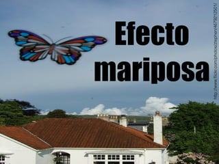 Efecto 
mariposa 
http://www.flickr.com/photos/ztephen/4679212501/ 
 