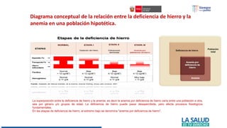 Diagrama conceptual de la relación entre la deficiencia de hierro y la
anemia en una población hipotética.
La superposición entre la deficiencia de hierro y la anemia, es decir la anemia por deficiencia de hierro varía entre una población a otra,
sea por género y/o grupos de edad. La deficiencia de hierro puede pasar desapercibida, pero afecta procesos fisiológicos
fundamentales.
En las etapas de deficiencia de hierro, el extremo bajo se denomina "anemia por deficiencia de hierro".
 