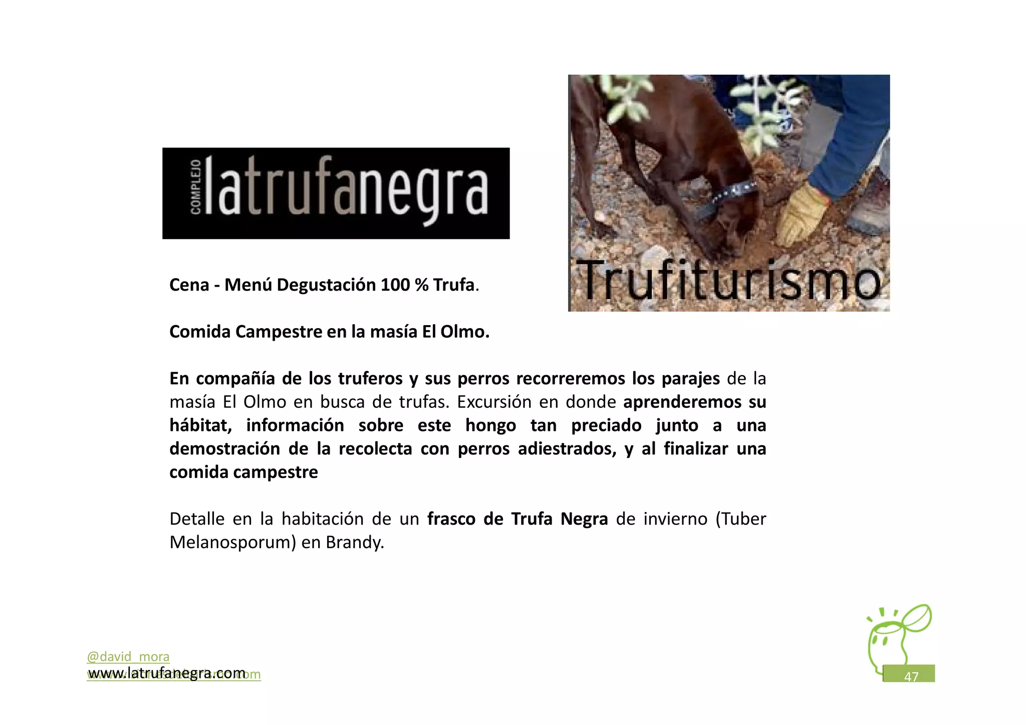 Cena - Menú Degustación 100 % Trufa.

            Comida Campestre en la masía El Olmo.

            En compañía de los truferos y sus perros recorreremos los parajes de la
            masía El Olmo en busca de trufas. Excursión en donde aprenderemos su
            hábitat, información sobre este hongo tan preciado junto a una
            demostración de la recolecta con perros adiestrados, y al finalizar una
            comida campestre

            Detalle en la habitación de un frasco de Trufa Negra de invierno (Tuber
            Melanosporum) en Brandy.




@david_mora
www.latrufanegra.com
www.visionesdelturismo.com                                                            47
 