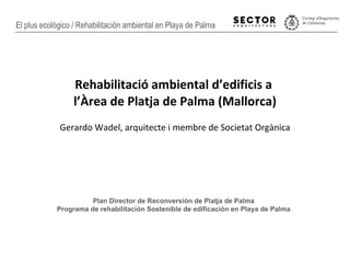 [object Object],[object Object],[object Object],Plan Director de Reconversión de Platja de Palma Programa de rehabilitación Sostenible de edificación en Playa de Palma 
