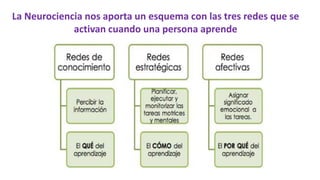 La Neurociencia nos aporta un esquema con las tres redes que se
activan cuando una persona aprende
 