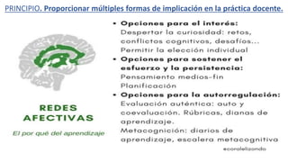 PRINCIPIO. Proporcionar múltiples formas de implicación en la práctica docente.
 