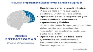 PRINCIPIO. Proporcionar múltiples formas de Acción y Expresión
 