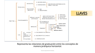 LLAVES
Representa las relaciones de graduación entre los conceptos de
manera jerárquica horizontal.
Teresa Izquierdo Fernández
 
